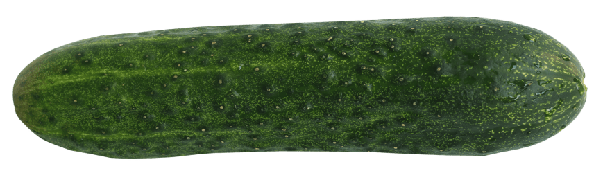 The Raitini (cucumber raita martini)