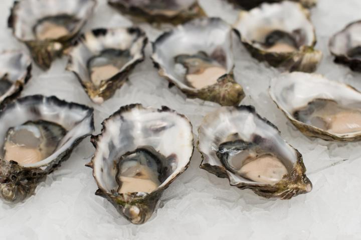 Oysters: a Timeless Martini Accompaniment