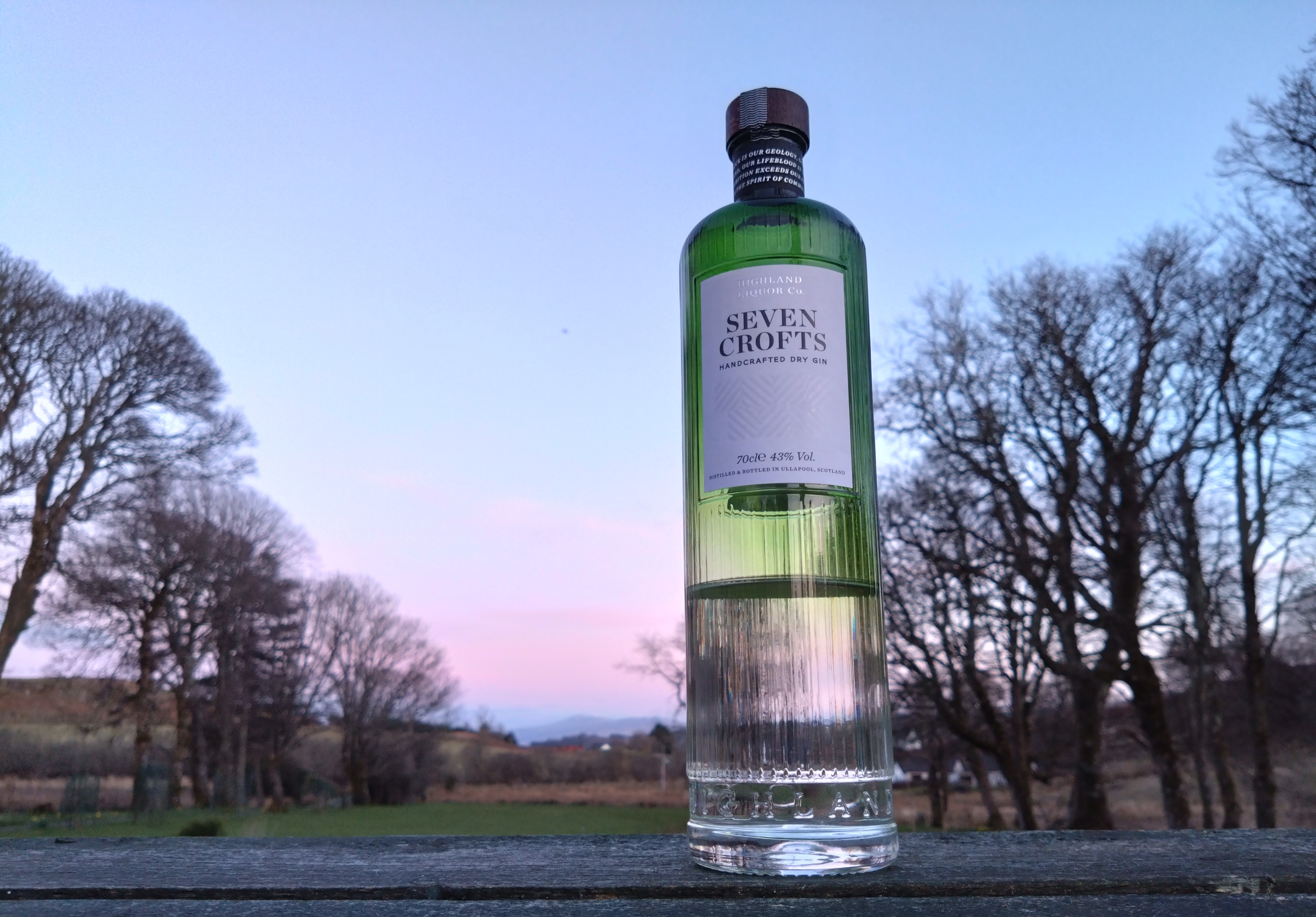 A Martini with Seven Crofts Gin – The Martini Socialist